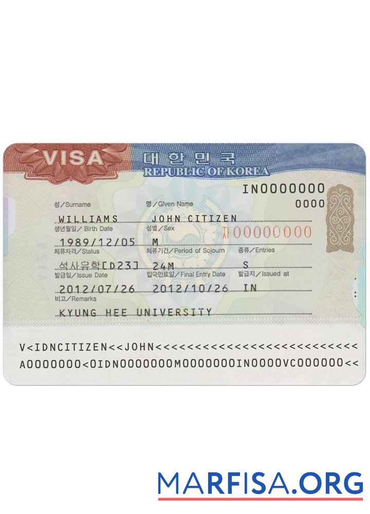 Realistic Korea travel visa real example